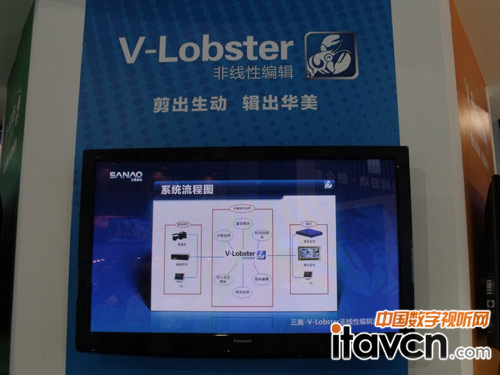 V-LobsterǾԾ݋