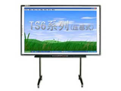 ˲TS-6010